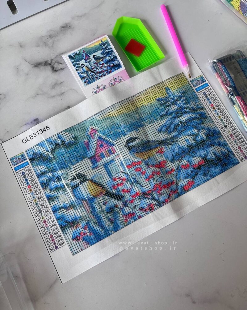نقاشی الماسی بزرگسالان 30*20 سانت سری کد X
