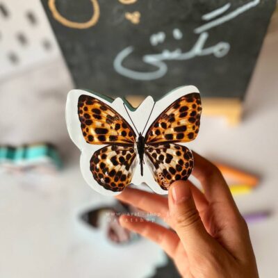 تخته پاکن مگنتی