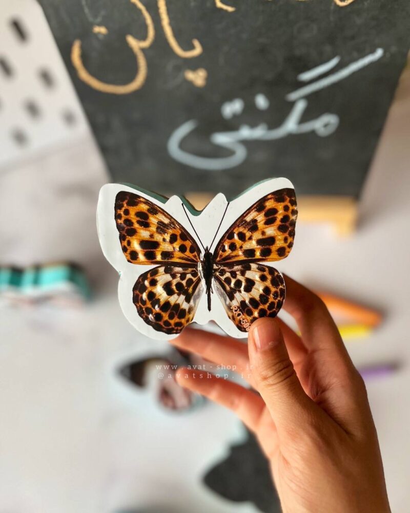 تخته پاکن مگنتی