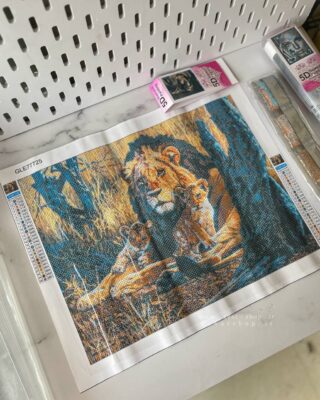 نقاشی الماسی بزرگسال ابعاد 40*50 سانت سری کد F